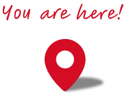 You are here